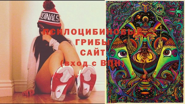 ECSTASY Армянск