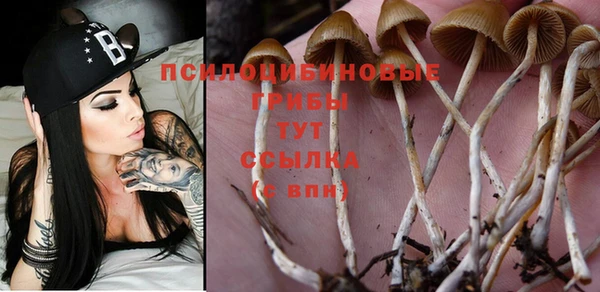 мдпв Железноводск