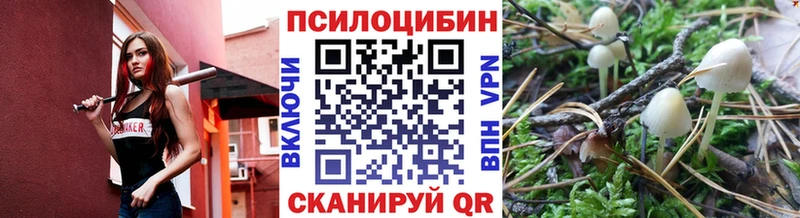 закладки  Балахна  Галлюциногенные грибы Magic Shrooms 