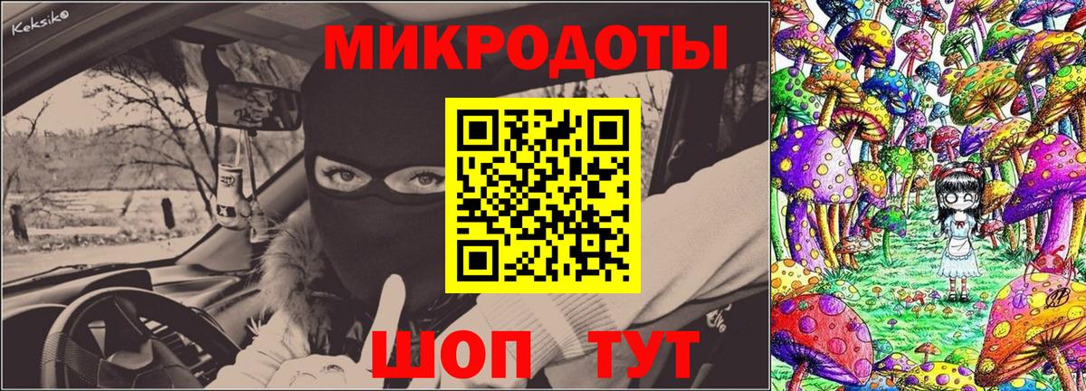 Галлюциногенные грибы Psilocybe  Галлюциногенные грибы прущие грибы  Вход с VPN  что такое   Балахна 